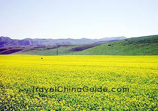 Sangke Grassland, Xiahe